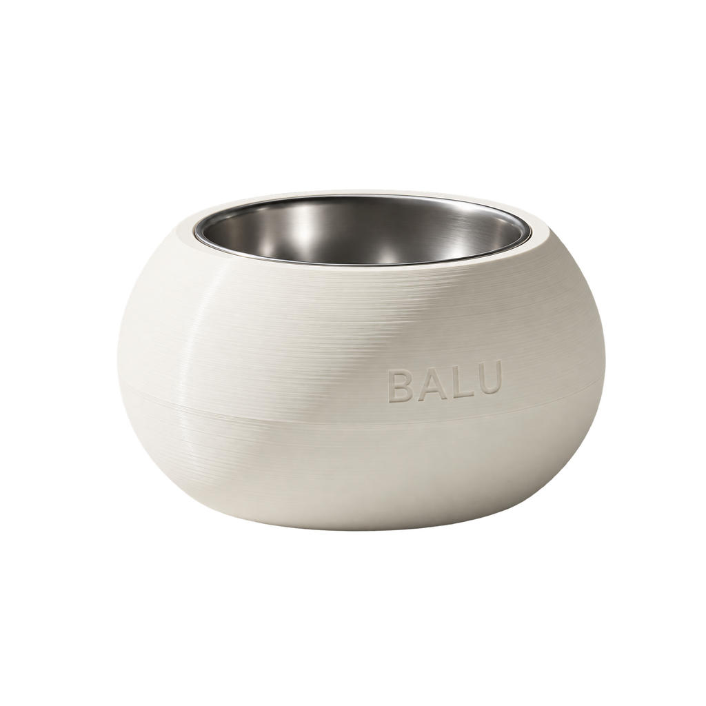 DOG BOWL