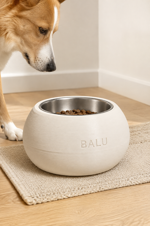 DOG BOWL